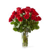 Long Stem Red Roses - B59