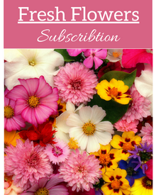  Business/Corporate Fresh Flower Subscription