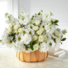 Graceful Garden Basket - S5255