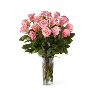 Long Stem Pink Roses - E5440