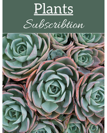  Home Plant Club Subscription