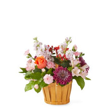  Strawberry Patch - V5493