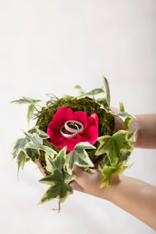  Lila Rose Ring Nest - W29-5082