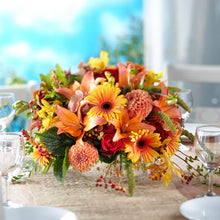  One and Only Centerpiece - W47-5097