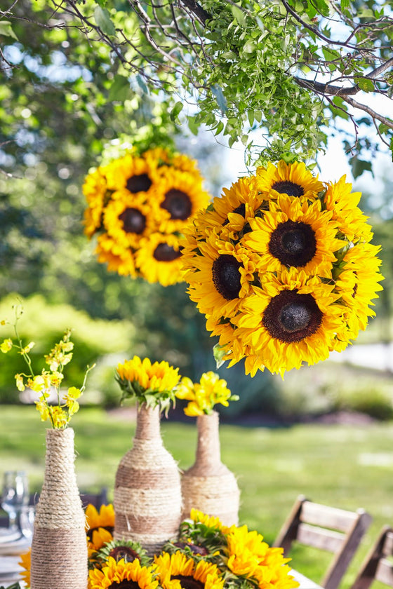 Sublime Garden Hanging Arrangement - W49-5107