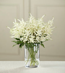  White Astilbe Bouquet - W8-5042