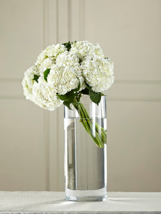 White Hydrangea Hand-Tied Bouquet - W8-5043