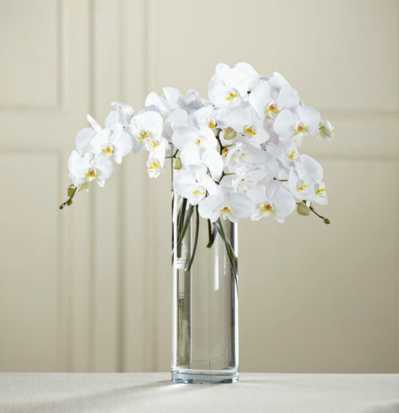 White Phalaenopsis Bouquet - W8-5047