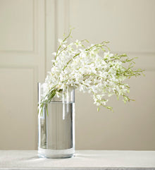  White Dendrobium Bouquet W8-5049