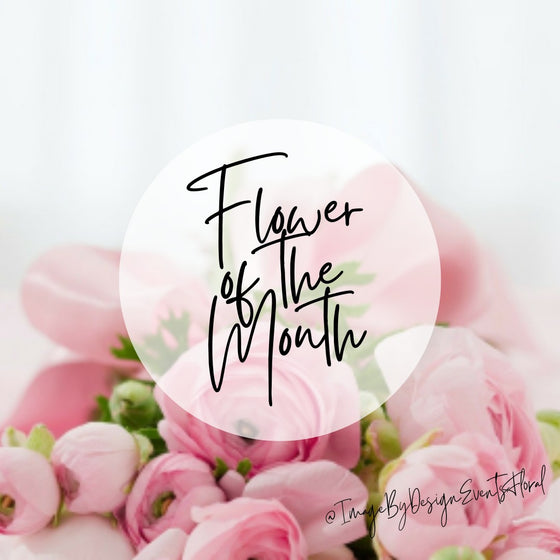 Flower of the Month Club Subscription